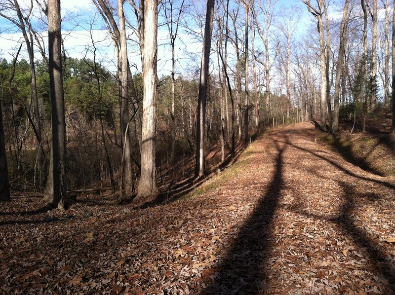 Kings Mountain Gateway Trail