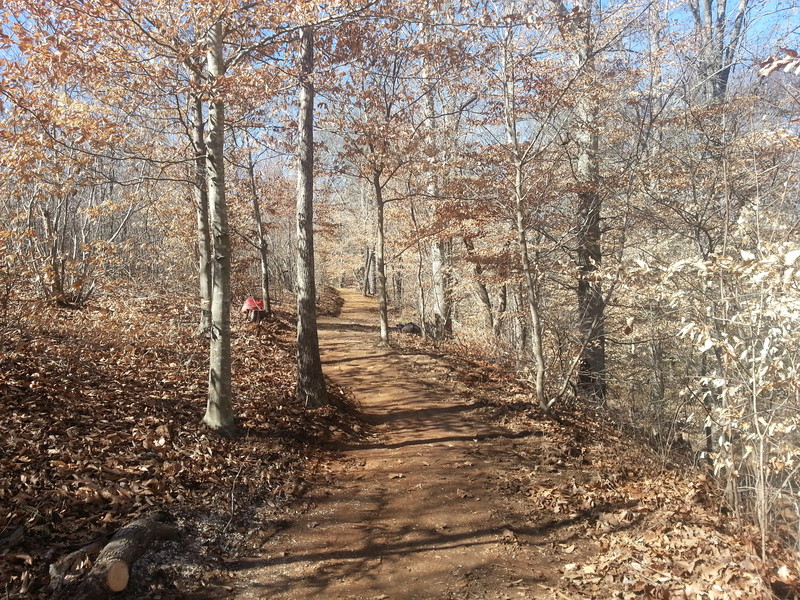 Buffalo Creek Preserve Trail