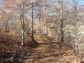 Buffalo Creek Preserve Trail