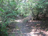 David Stewart Trail/ Murray's Mill Trail
