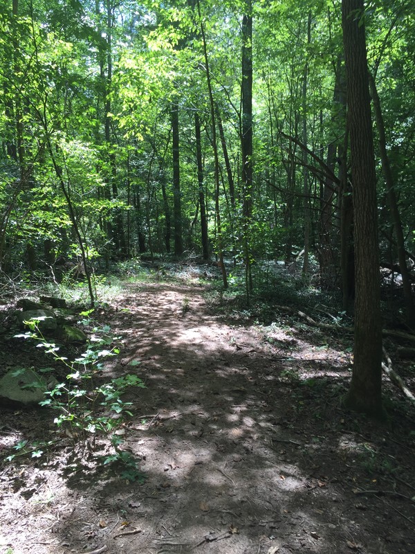 Rock Springs Nature Preserve Trail