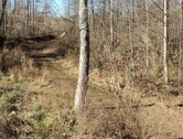 Sally's YMCA Trail