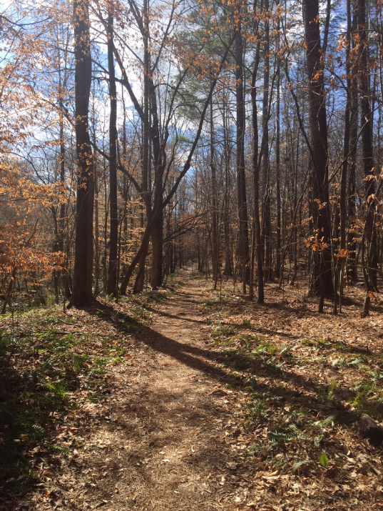 Mineral Springs Greenway