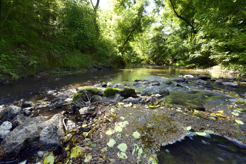 Buffalo Creek Preserve Trail