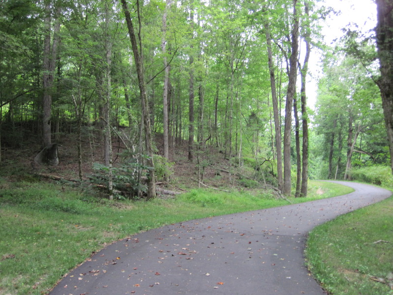 South Prong Rocky River Greenway/ Southeast Greenway/ Davidson Greenway